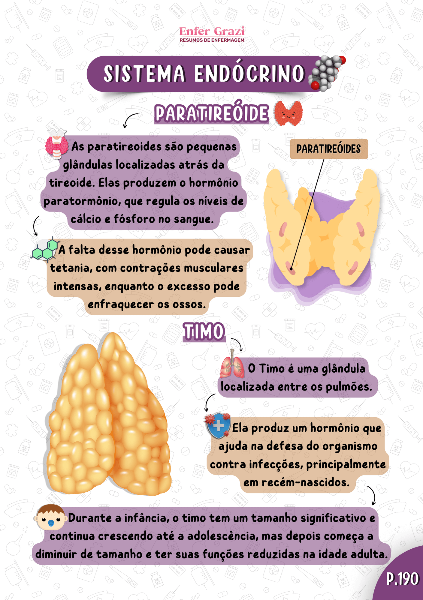 Apostila-de-Anatomia-Humana-parte-2-15062023-1.png