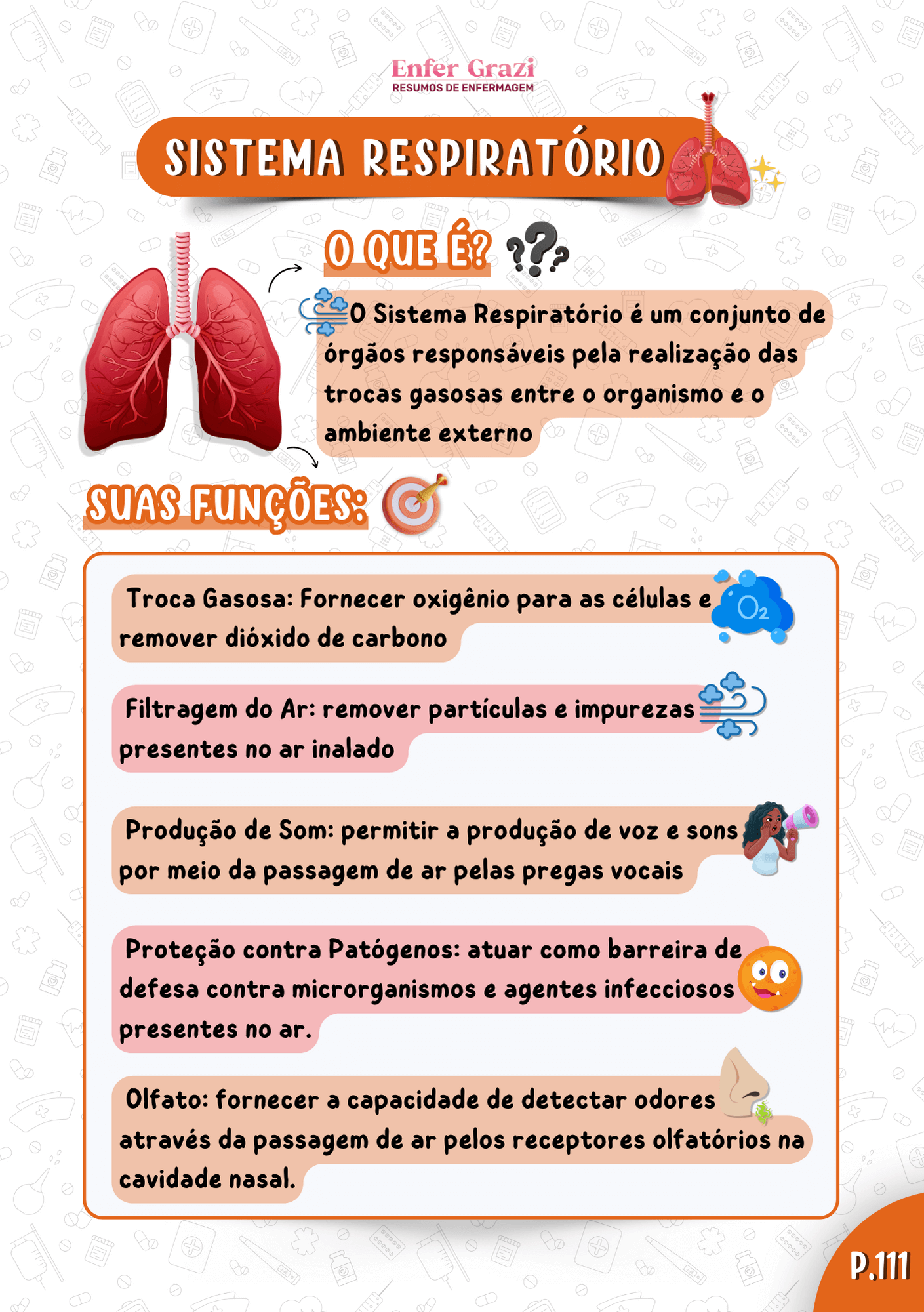 Apostila-de-Anatomia-Humana-parte-2-15062023-6-1.png