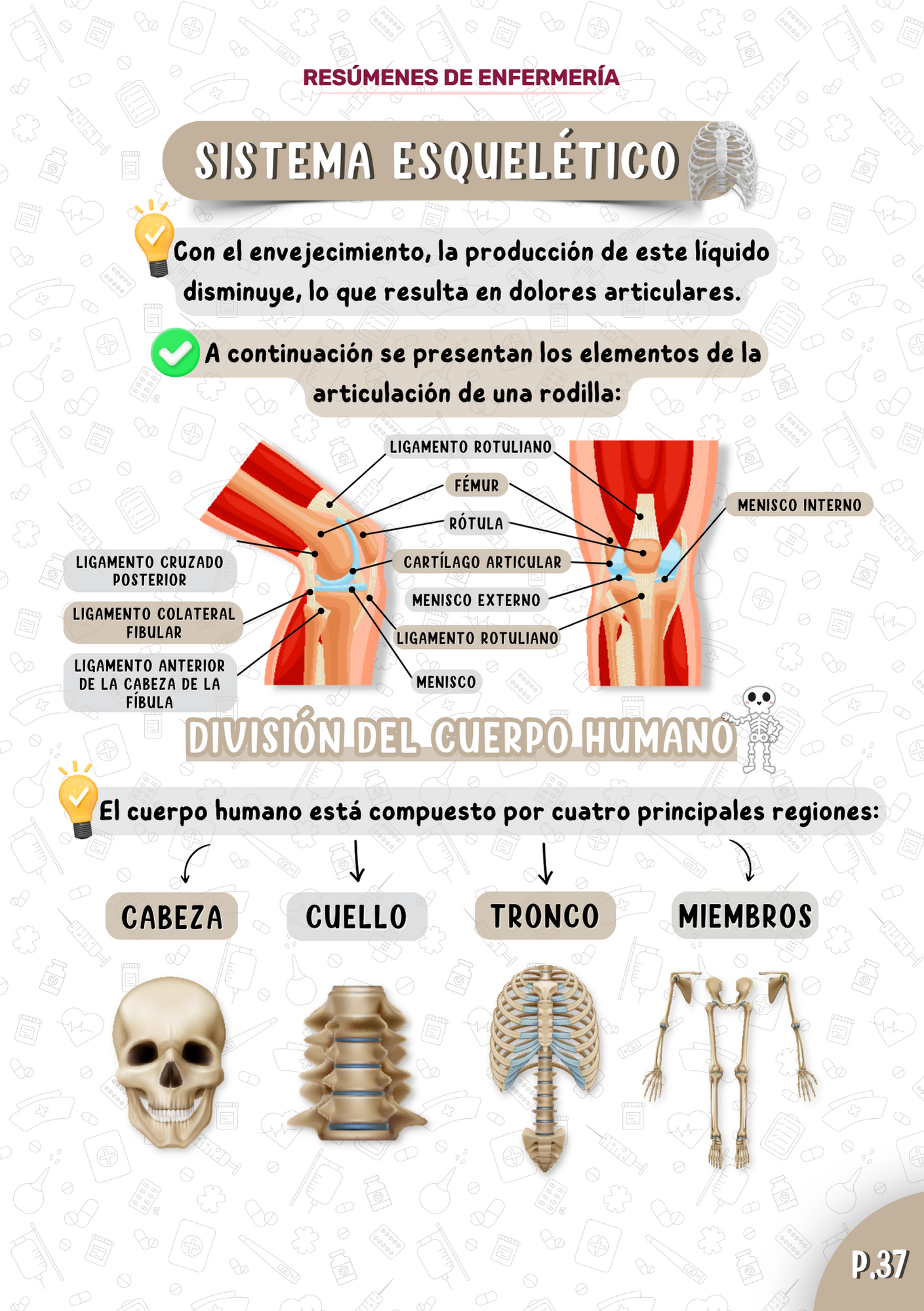 Espanhol-Anatomia-PT1-1.png