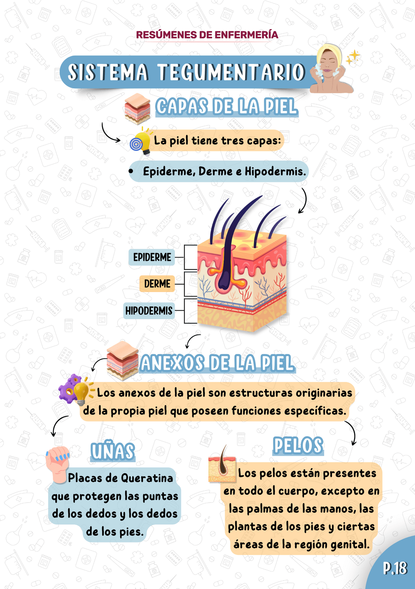 Espanhol-Anatomia-PT1-4-1.png