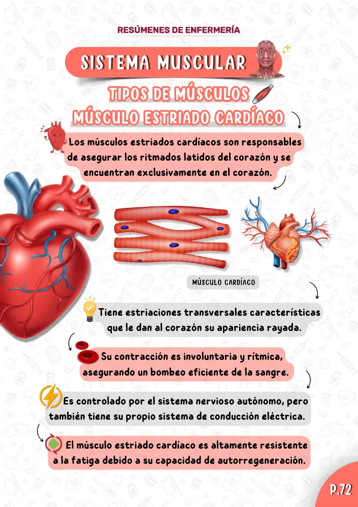 Espanhol Anatomia PT1 (10) (1)