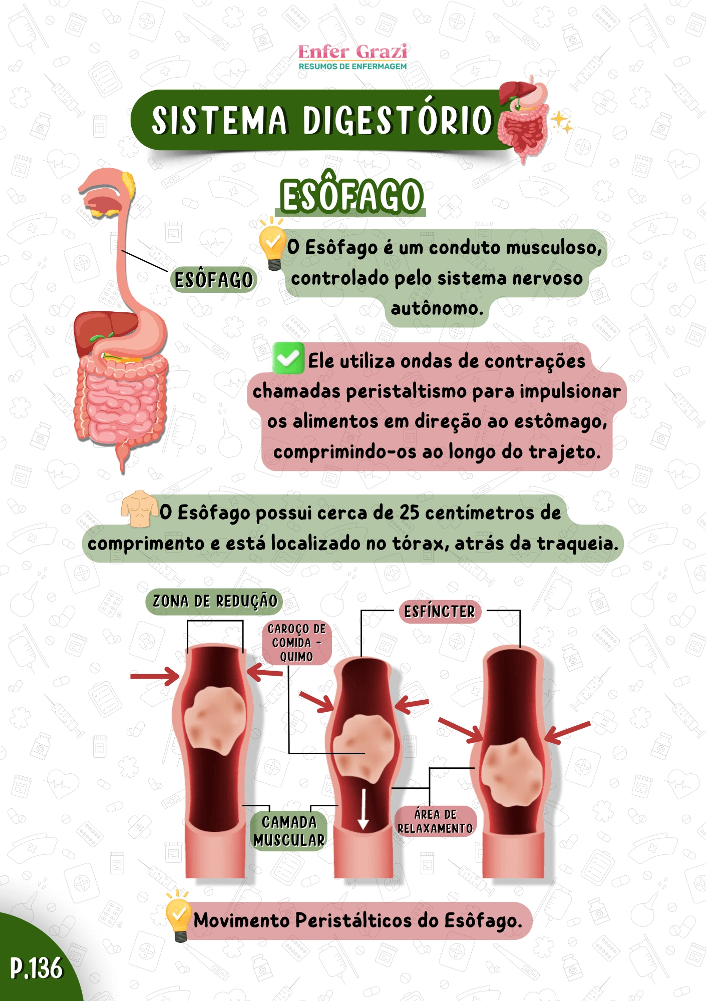 Parte 2 - AHI - FÍSICO (14)